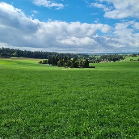 Modern Eingerichtete 3-Zi-Ferienwohnung Zu Vermieten Löffingen Kültér fotó