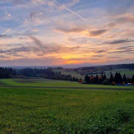 Modern Eingerichtete 3-Zi-Ferienwohnung Zu Vermieten Löffingen Kültér fotó