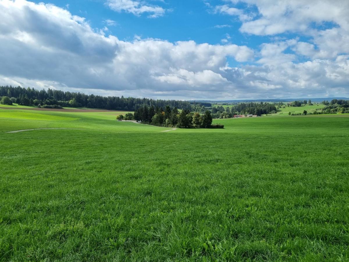 Modern Eingerichtete 3-Zi-Ferienwohnung Zu Vermieten Löffingen Kültér fotó